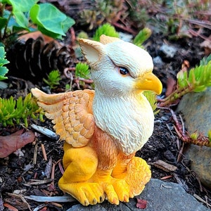 Griffon silicone mold 3d griffon mold Mold for soap Mold for epoxy resin Mold griffon Mold for kids soap Mold for toys Tools for craft