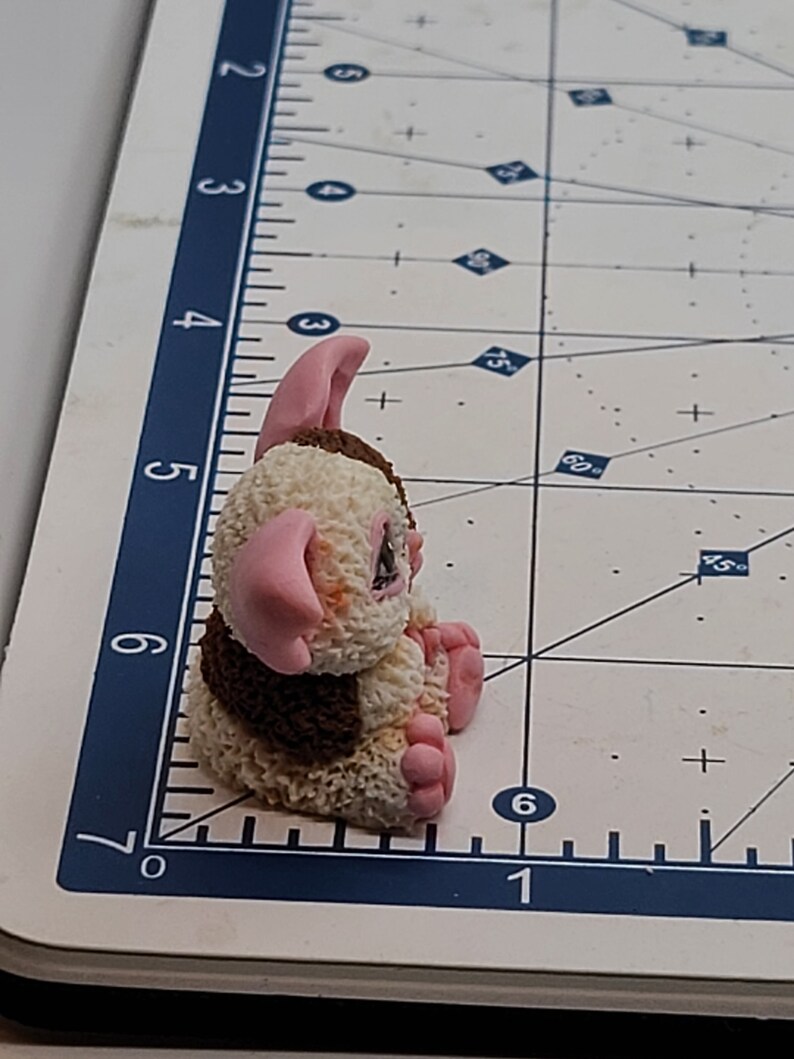 May include: A small, brown and white fuzzy creature with pink ears and feet. The creature is sitting on a white surface with a blue ruler in the background.