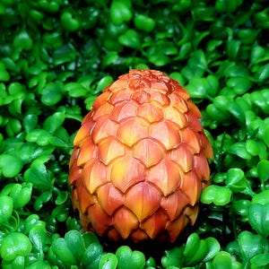 Pode incluir: Um objeto decorativo em forma de ovo com uma superfície texturizada, apresentando tons de laranja e amarelo. Está rodeado por um fundo de folhagem verde vibrante, criando um contraste marcante.