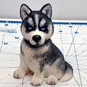 Könnte beinhalten: Eine kleine, weiße und schwarze Figur eines Husky-Welpen, der mit gekreuzten Pfoten sitzt. Der Welpe hat blaue Augen und eine schwarze Nase.