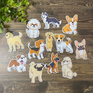 stickers chien /personnalisables/carlin/husky/berger allemand/bouledogue/laboratoire/golden retriever/caniche/shi tzu/beagle/bouledogue français/corgi/jack russel