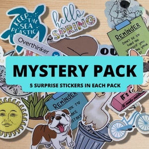 Pack d'autocollants mystère | 5 autocollants | sélection aléatoire dans toute la boutique