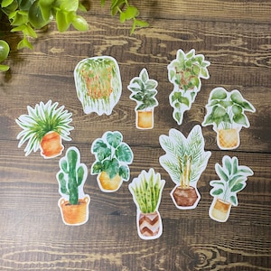 pegatinas de plantas de casa/plantas de acuarela/pegatinas de plantas/pegatina monstera/pegatina de cactus/pegatina impermeable/pegatina portátil
