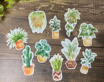 house plant stickers / watercolour plants / plant stickers / monstera sticker / cactus sticker / waterproof sticker / laptop sticker