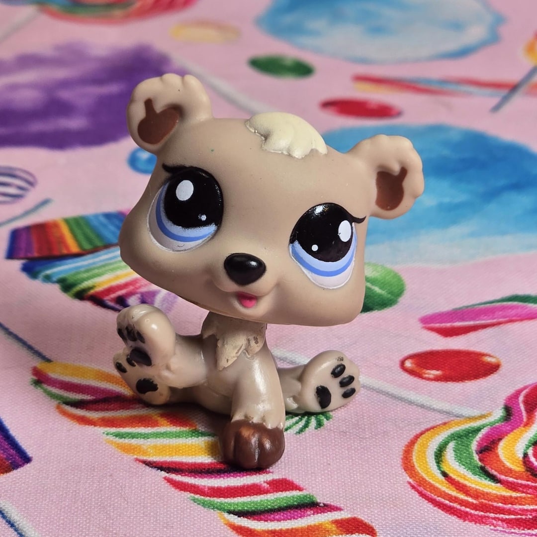 Littlest Pet Shop Authentic LPS #1555 Baby Bear Cub Brown Tan Blue Eyes ...