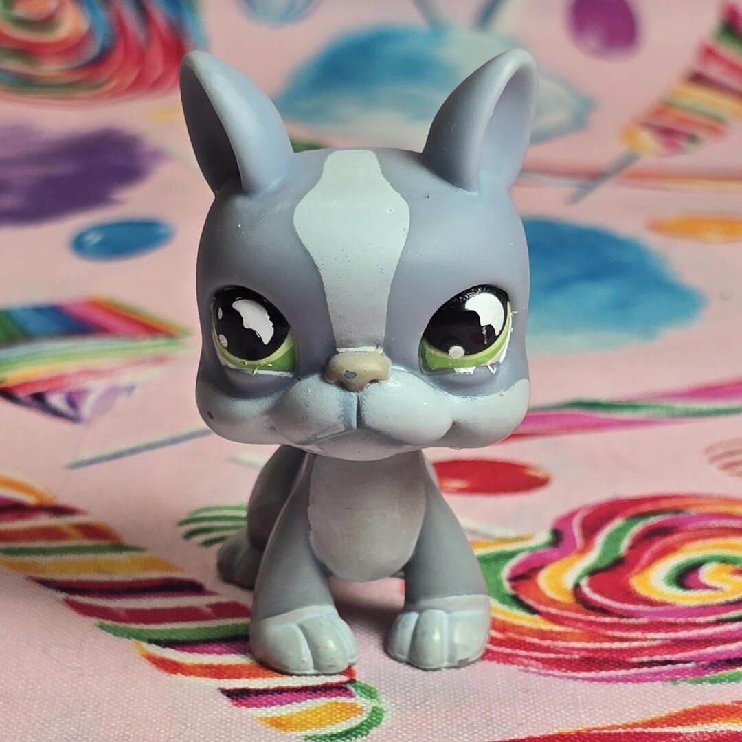 Littlest Pet Shop Authentic LPS #857 Boston Terrier Dog Gray Green Moon ...