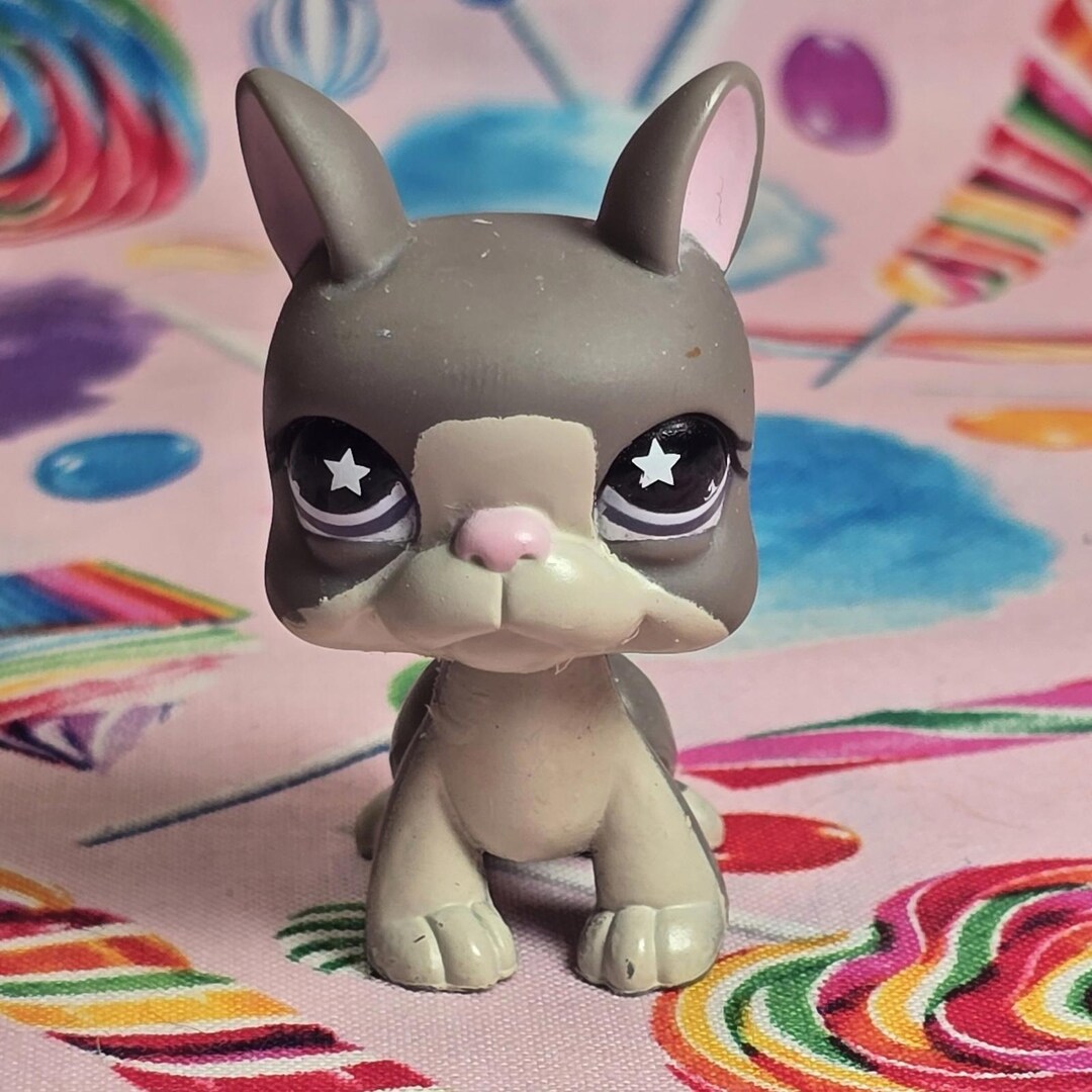 Littlest Pet Shop Authentic LPS #958 Boston Terrier Gray Sassiest Eyes ...