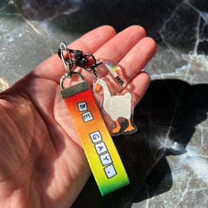 May include: A keychain with a rainbow strap reading "BE GAY." It includes a clear acrylic charm of a goose and a rainbow knife. The metal hardware is black.