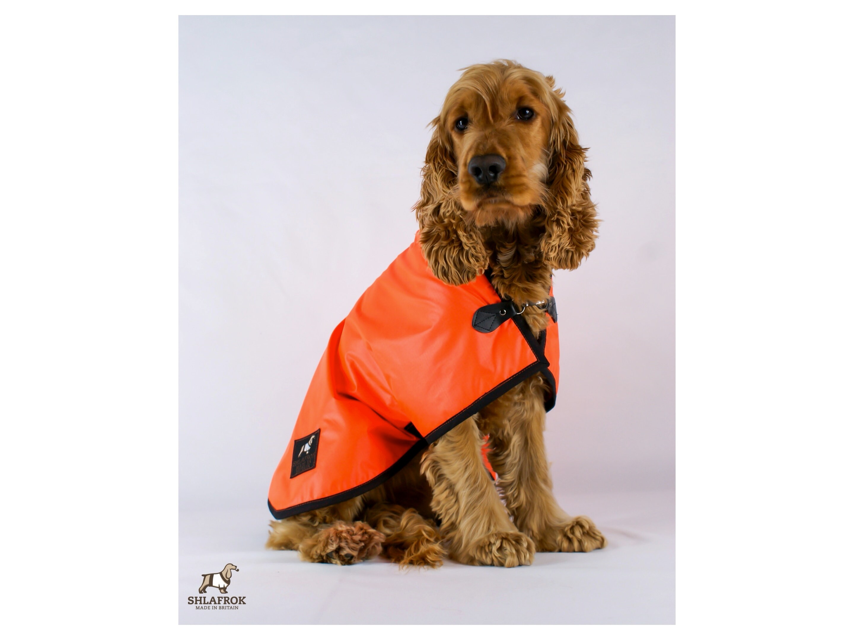 best dog drying coats