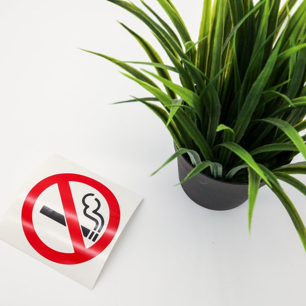 Rental Car Sign Etsy