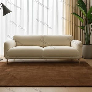 May include: A brown rectangular rug on a wooden floor, positioned in front of a cream sofa. A black floor lamp and potted plants are in the background. The rug adds warmth to the living room, measuring approximately 200cm x 300cm.