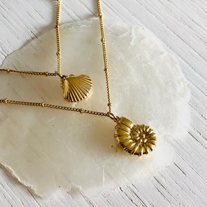 Purea Necklace - Stainless Steel Shell Necklace - Women&#39;s Jewelry