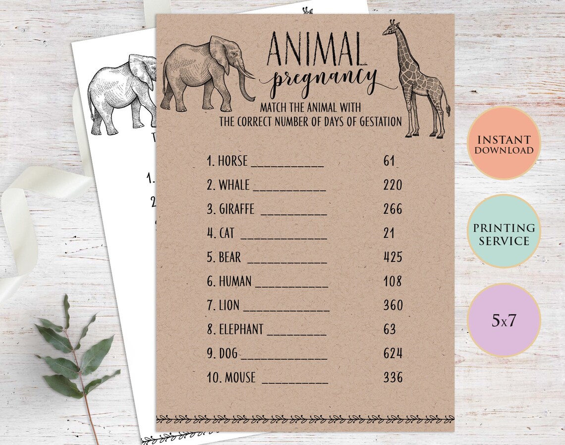 Animal Pregnancy Baby Shower Game Printable Template Fun - Etsy