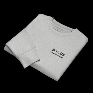 Può includere: Una felpa grigio chiaro con la scritta "p<.05 trust the process" stampata in nero. La felpa ha un girocollo e maniche lunghe. Una piccola etichetta è visibile vicino allo scollo.