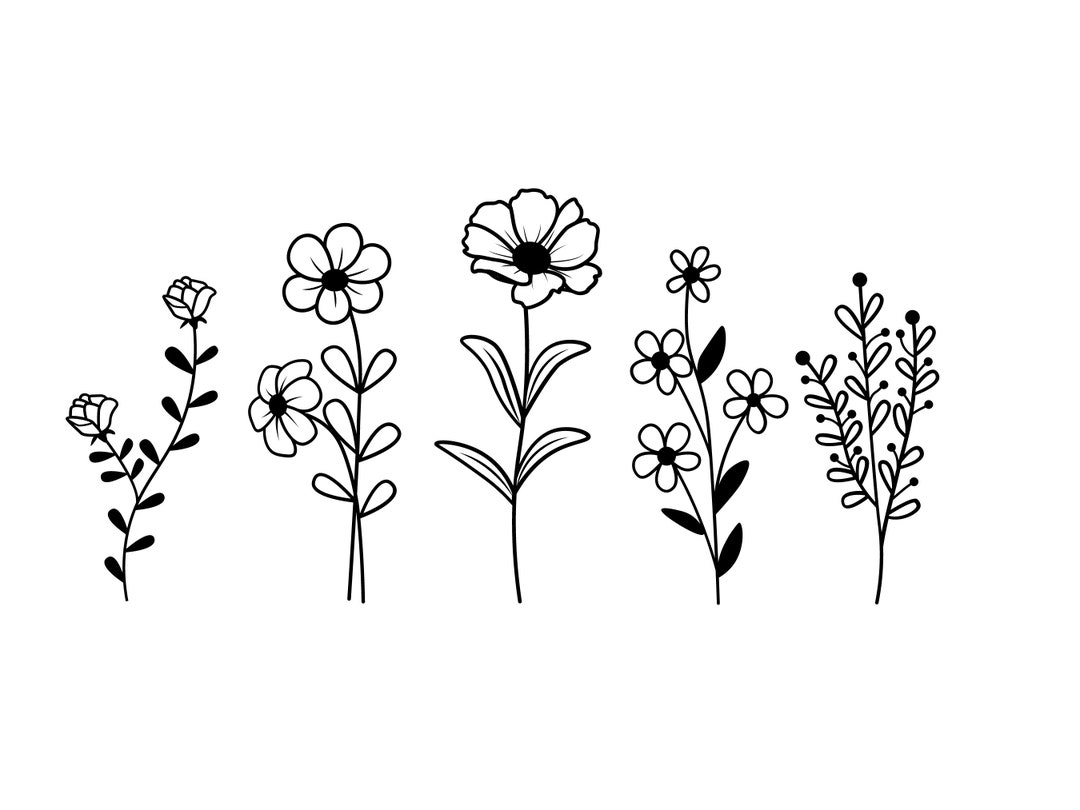 Wildflowers Svg, Floral Svg, Wild Flower Svg, Flower Sketch Svg, Cricut