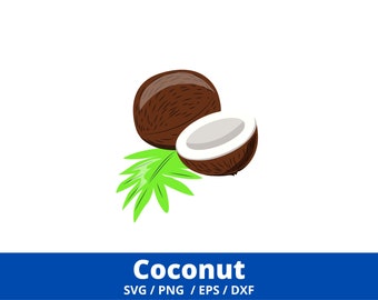 Coconut SVG, Kawaii Fruit SVG Cut File,  Tropical Fruit SVG Vector File,  Coconut Vector, Coconut Clip Art