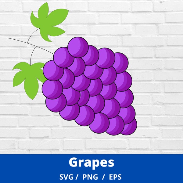 Grape SVG, Grapes svg, Fruit svg, Wine svg, Grapes, svg cut file, Vine svg, Grape Vine svg, Wine Grapes, Wine svg Bundle, Grape png