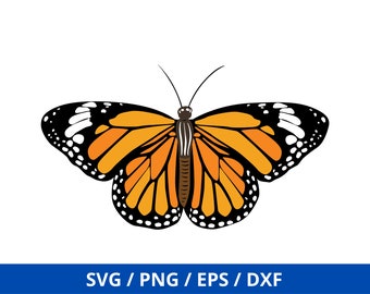 Butterfly SVG, Butterflies Svg, Butterfly, Monarch Butterfly Svg Cricut, Silhouette, Monarch Butterfly, Butterfly Clipart, Cut File