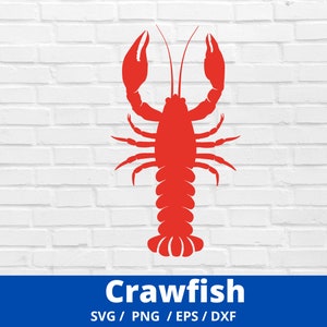 Crawfish Svg, Crayfish Svg, Crawfish Boil Svg, Mardi Gras Crawfish Svg, Crawfish Cut File, Summer Svg