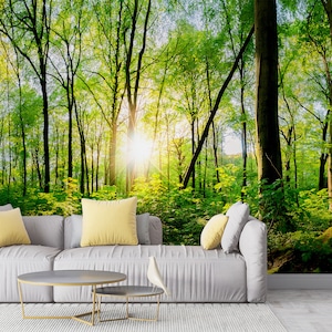 beautiful forest landscape wallpaper mural, nature green forest wall mural, tall trees and sunlight for bedroom wallpaper, home décor