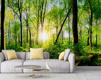 Green Forest Wallpaper Mural, Sunlight Through Trees, Home Decor