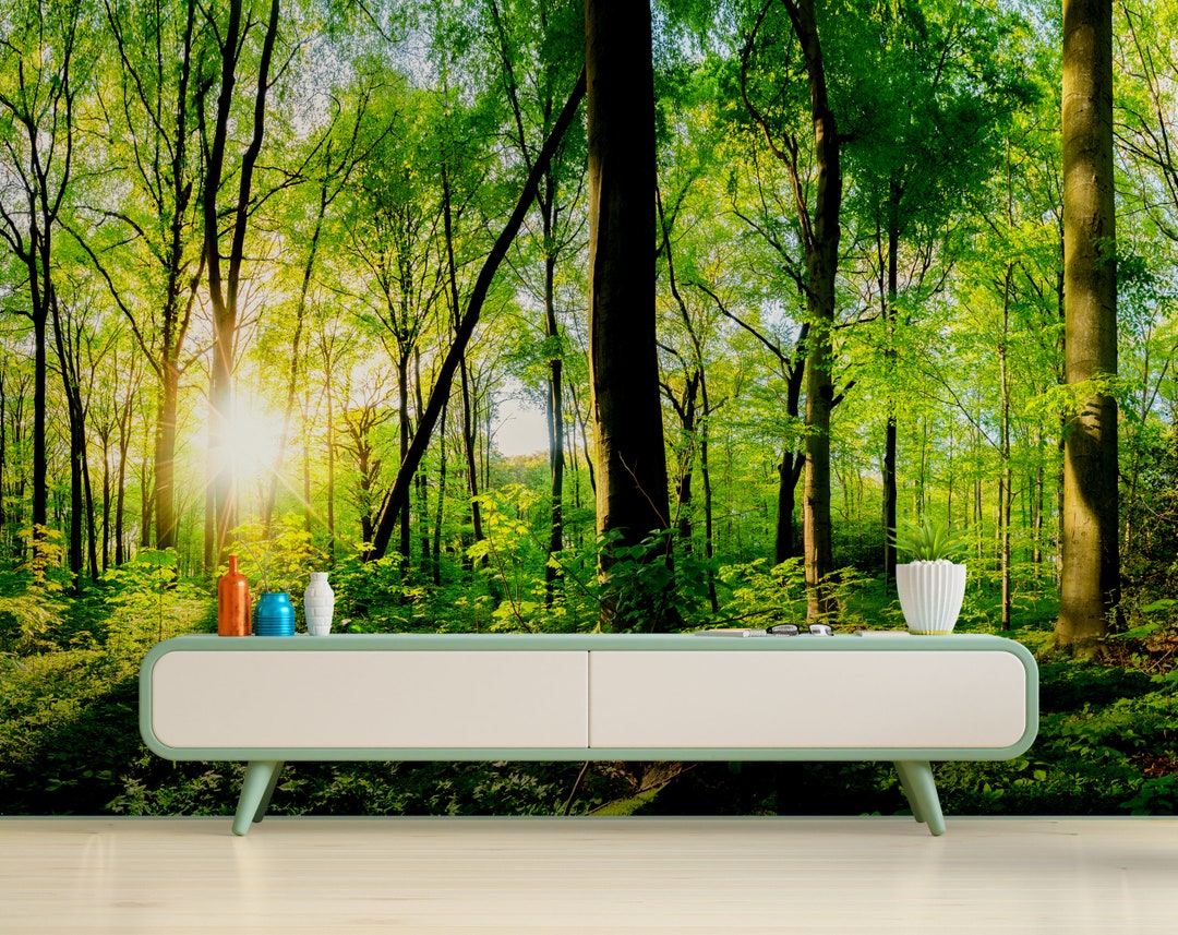 Beautiful Forest Landscape Wallpaper Mural, Nature Green Forest Wall