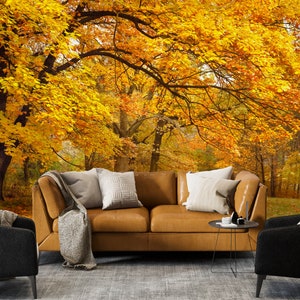 Herbst gelb Orange Baum Tapete, schönes Natur Wandbild, Tapete zum Abziehen und Aufkleben