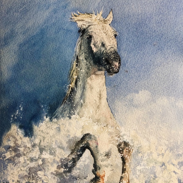 Cheval blanc de Camargue, cheval blanc encadré original à l’aquarelle