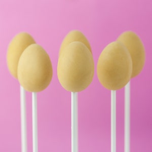 Egg Cake Pop Mold