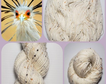 SECRETARY BIRD merino nylon bulky or chunky hand dyed yarn  for hats scarves mittens and more