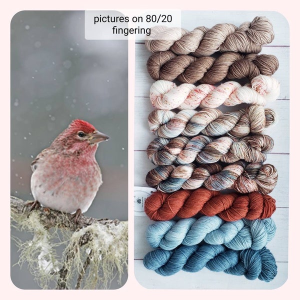 DK Cassin's finch fade set merino nylon hand dyed yarn for socks shawls sweaters scarves and hats