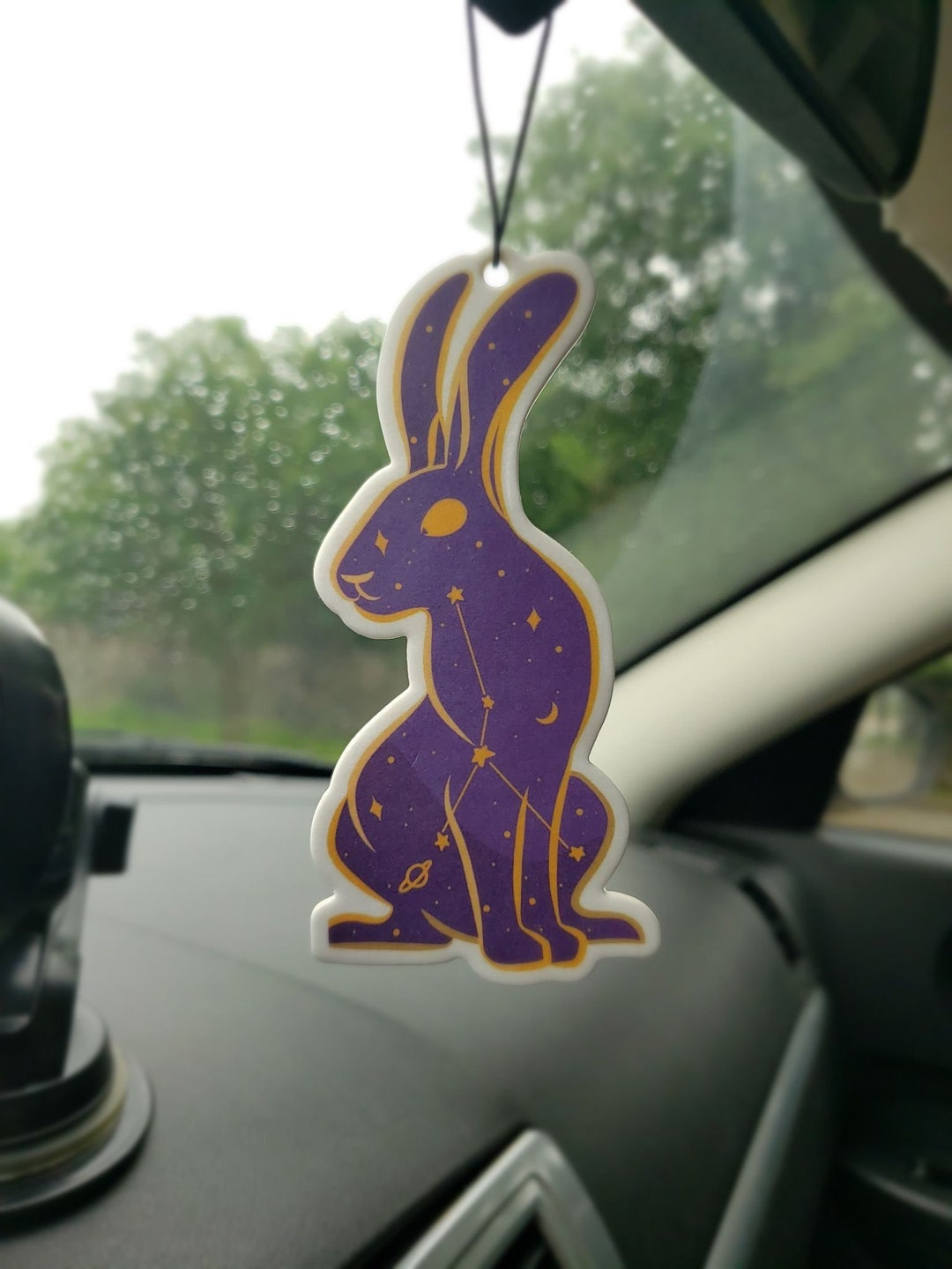 Blueberry Car Air Freshener, Car Air Freshie for Car Accessories , Cute