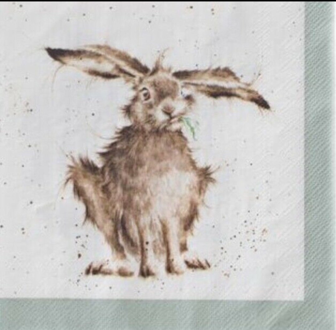Napkins for Decoupage X 20 Pack Wrendale Hares Cocktail Napkins Etsy