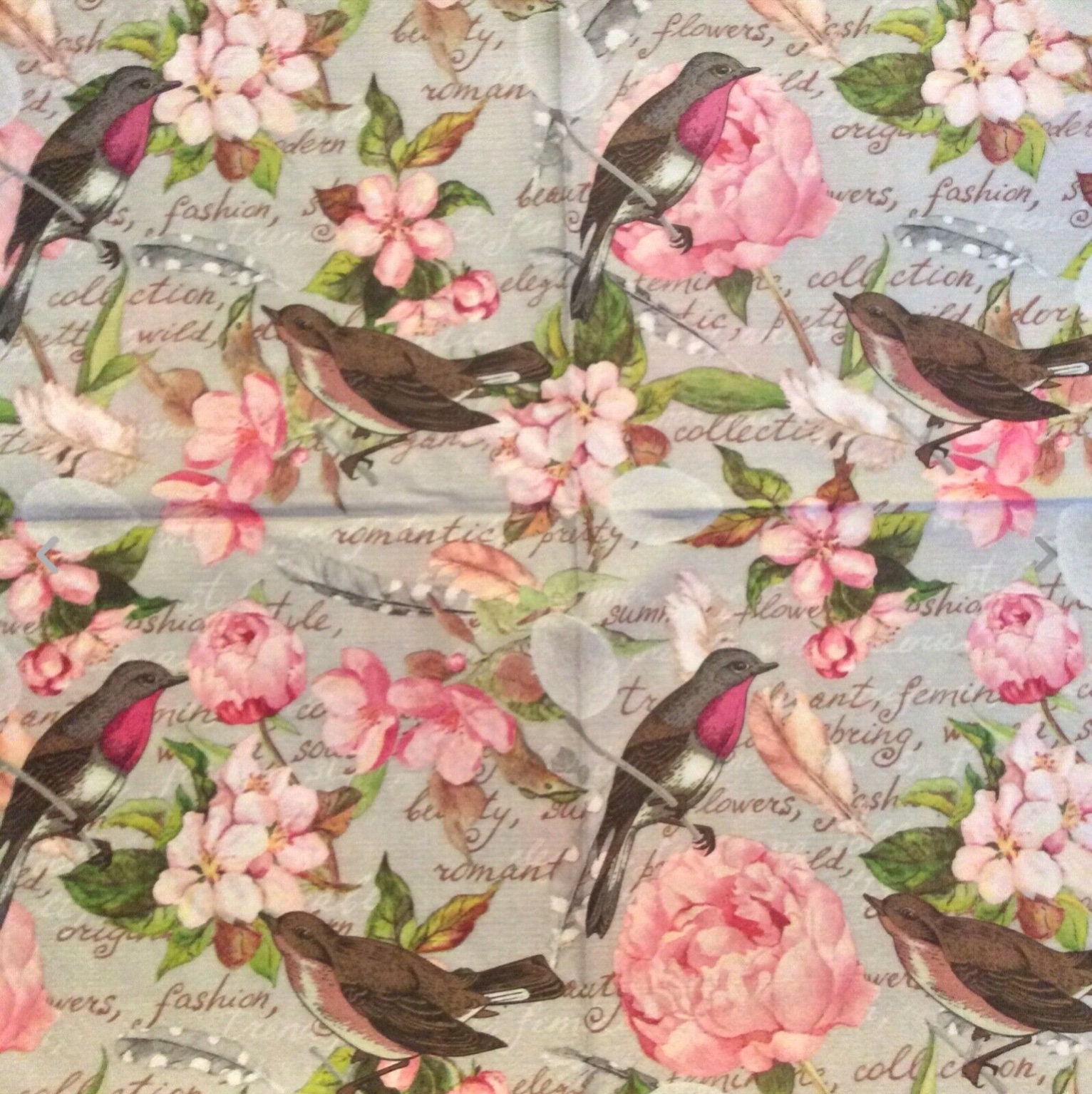 Decoupage - Servilletas de pájaro de rosas inglesas, 40 servilletas de  almuerzo, servilletas de papel para pájaros, servilletas de papel de  decoupage