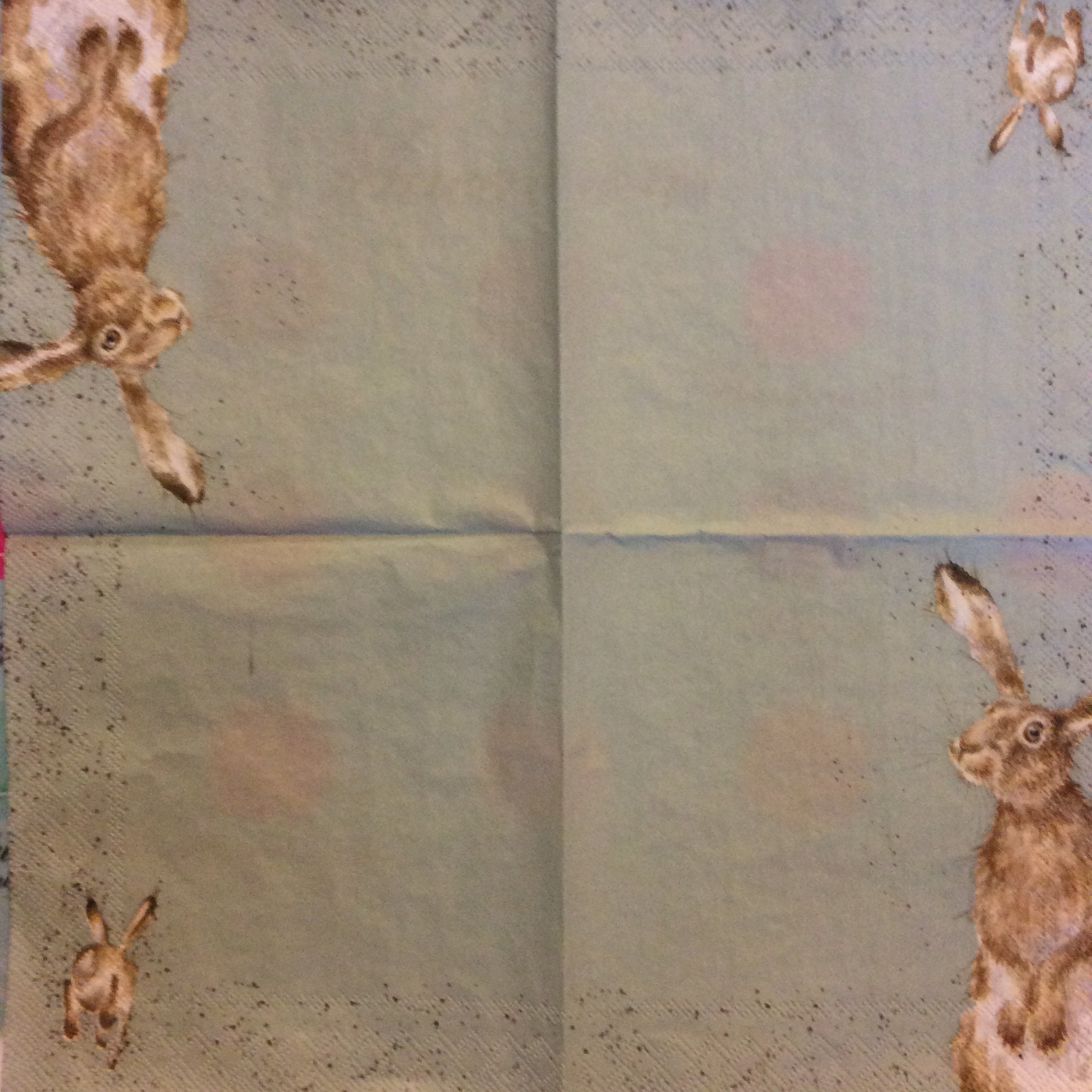 Napkins for Decoupage X 2 Wrendale the Hare & the Bee Paper Etsy Norway