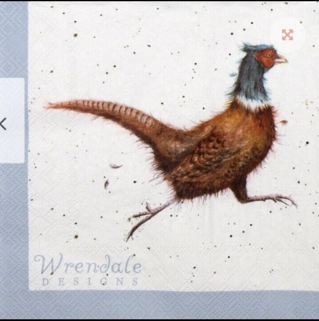 Napkins for Decoupage X 4 Wrendale Pheasants Lunch Napkins Etsy