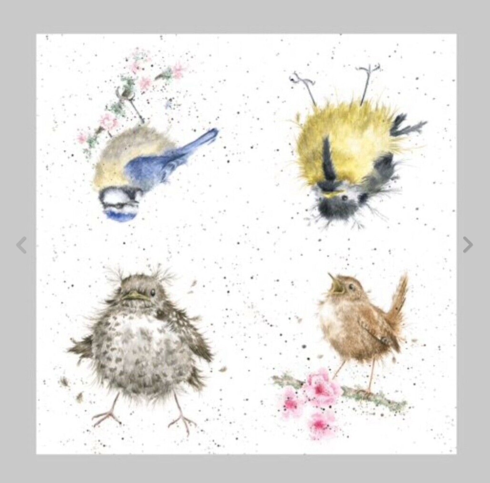 Napkins for Decoupage X 2 Wrendale Garden Birds Cocktail Etsy