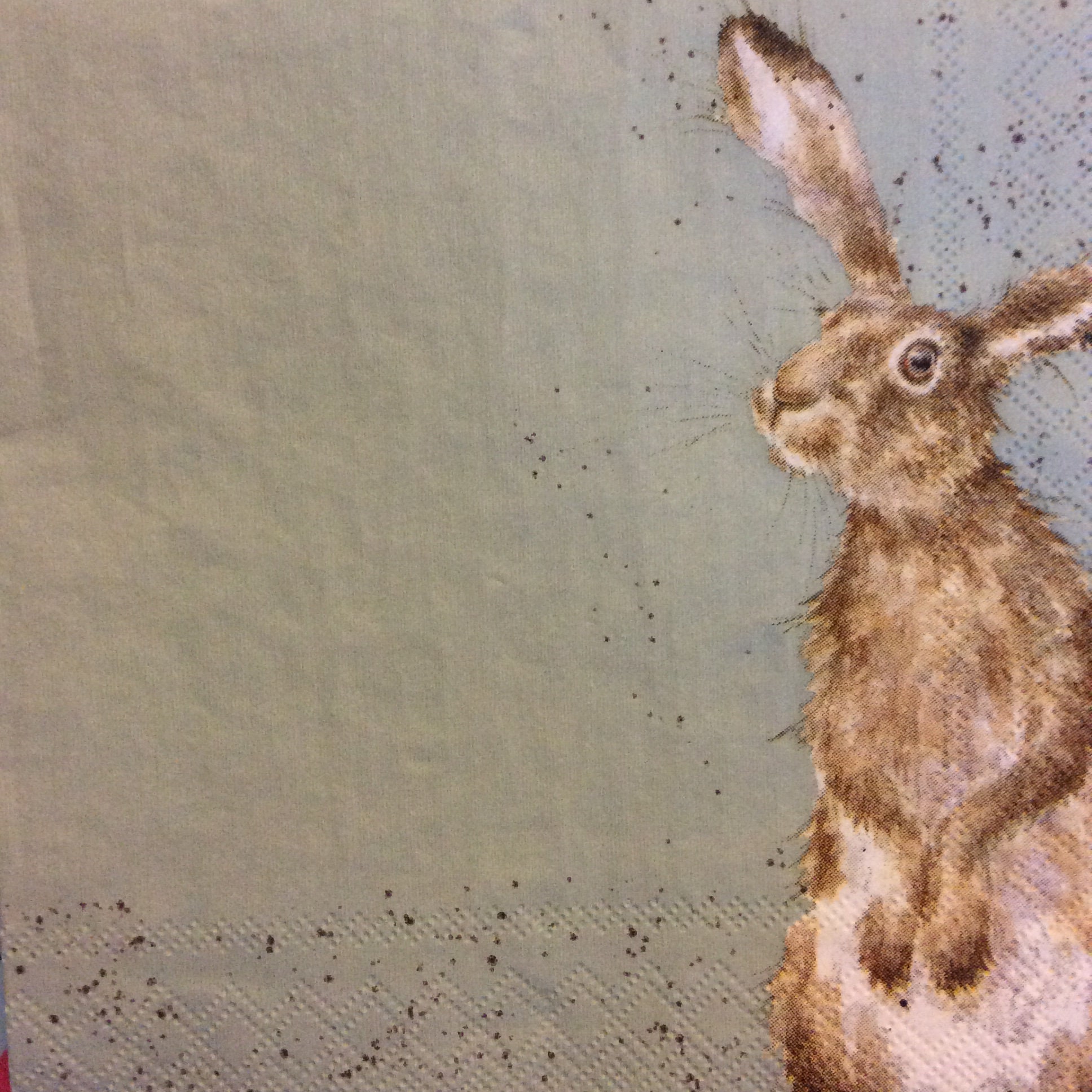 Napkins for Decoupage X 2 Wrendale the Hare & the Bee Paper Etsy Norway