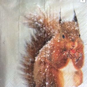 Tovaglioli per decoupage x 4 Natale inverno scoiattoli tovaglioli di carta 21 cm quadrati