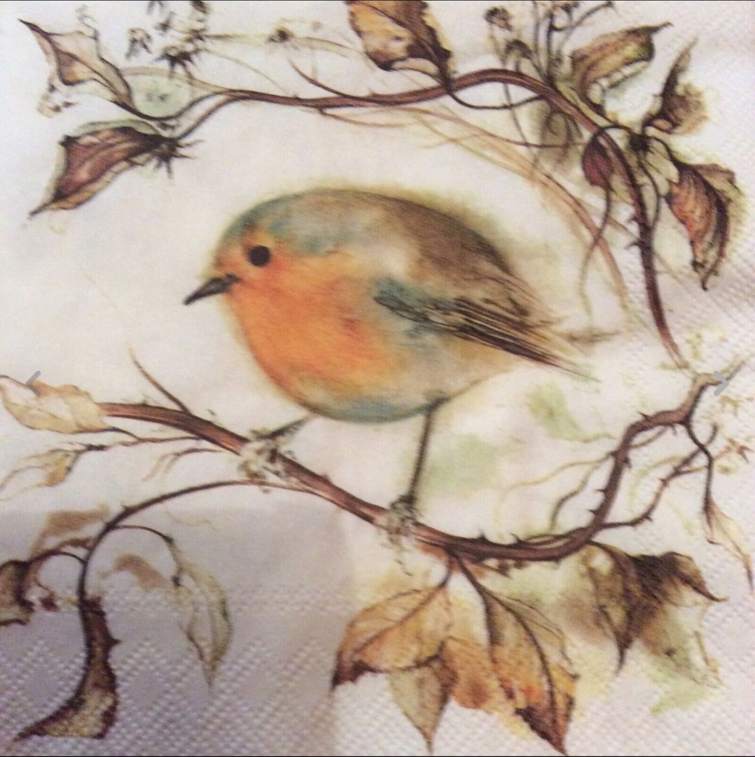 Napkins for decoupage x 2 red robin cocktail napkins Etsy