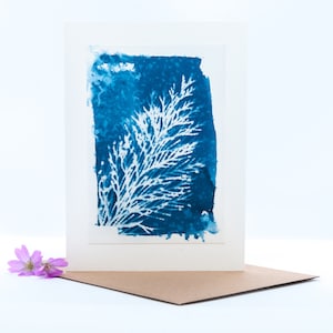 Handgemaakte originele cyanotype print blanco wenskaart
