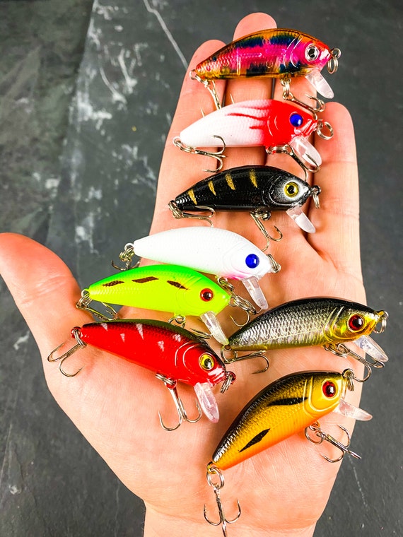 Ultra-light Crankbait Floating Minnow Set 8 Fishing Lures Bass, Trout,  Striper, Walleye Freshwater Gifts for Him Gifts for Dad 
