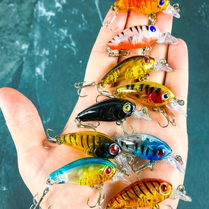 Short Hard Crankbait Sinking Minnow Set (9) - Fishing Lures - Bass, Trout, Striper, Walleye - Freshwater - Gifts for Him - Gifts for Dad -