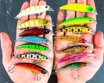 Skinny Hard Crankbait Sinking Minnow Set (14) - Fishing Lures - Bass, Trout, Striper, Walleye - Freshwater - Gifts for Him - Gifts for Dad -
