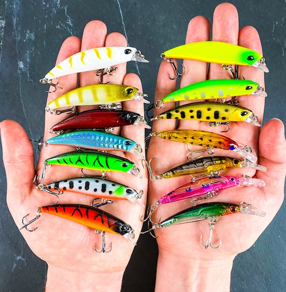 Skinny Hard Crankbait Sinking Minnow Set 14 Fishing Lures Bass