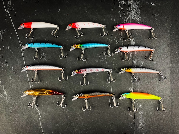 Skinny Long Crankbait Sinking Minnow Set 12 Fishing Lures Bass, Trout,  Striper, Walleye Freshwater Gifts for Him Gifts for Dad 