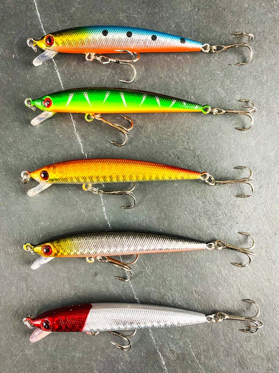 Rattling Skinny Long Sinking Crankbait Fishing Lure Set 5pcs Fishing Lure  Set Bass Fishing Lure Set Gifts for Him Gifts for Dad -  Canada