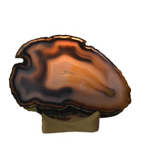 Könnte beinhalten: Eine natürliche Agat-Geoden-Scheibe mit braunen, orangen und schwarzen Bändern. Die Geode ist auf einem Holzsockel montiert.
