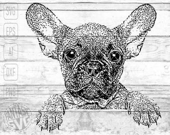 French Bulldog Face Head Puppy Pet Dog Cute SVG PNG Files Editable Printable