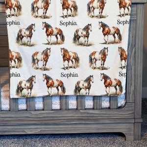Paint Horse Blanket Personalized Name Gift